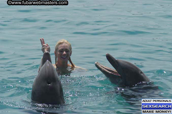 Local Billing Dolphin Encounter and Swim 2005