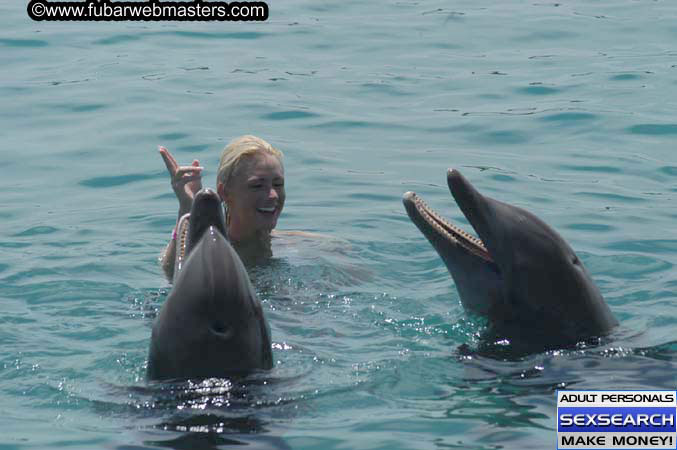 Local Billing Dolphin Encounter and Swim 2005