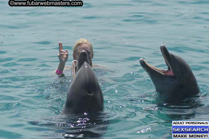 Local Billing Dolphin Encounter and Swim 2005