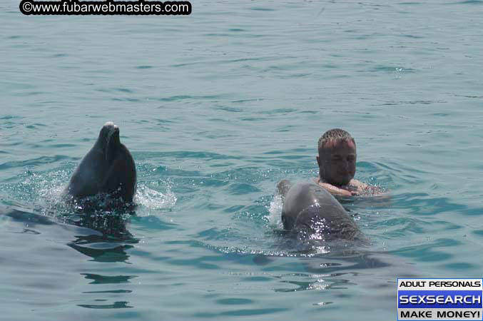 Local Billing Dolphin Encounter and Swim 2005