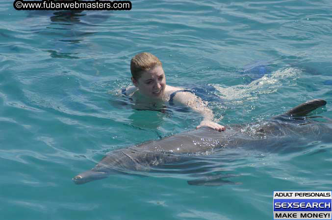 Local Billing Dolphin Encounter and Swim 2005