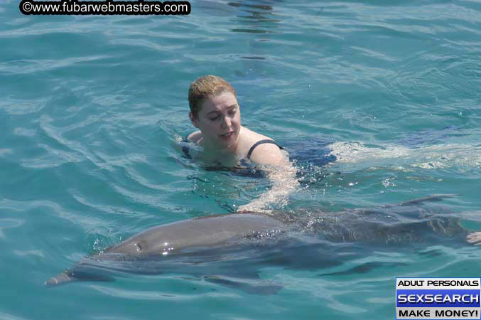 Local Billing Dolphin Encounter and Swim 2005