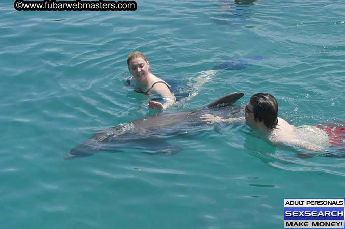 Local Billing Dolphin Encounter and Swim 2005