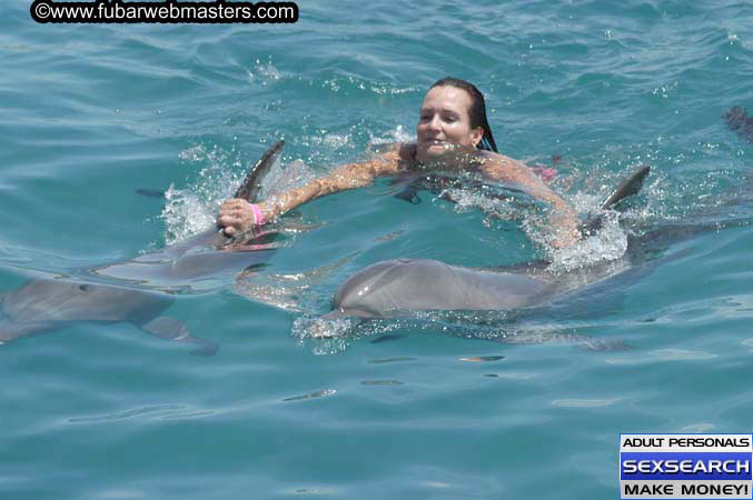 Local Billing Dolphin Encounter and Swim 2005