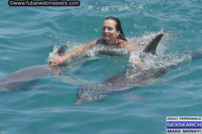 Local Billing Dolphin Encounter and Swim 2005