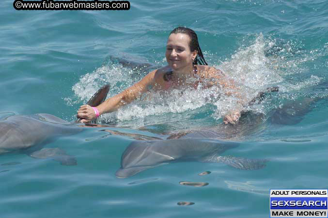 Local Billing Dolphin Encounter and Swim 2005