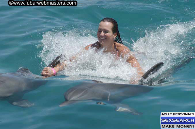 Local Billing Dolphin Encounter and Swim 2005