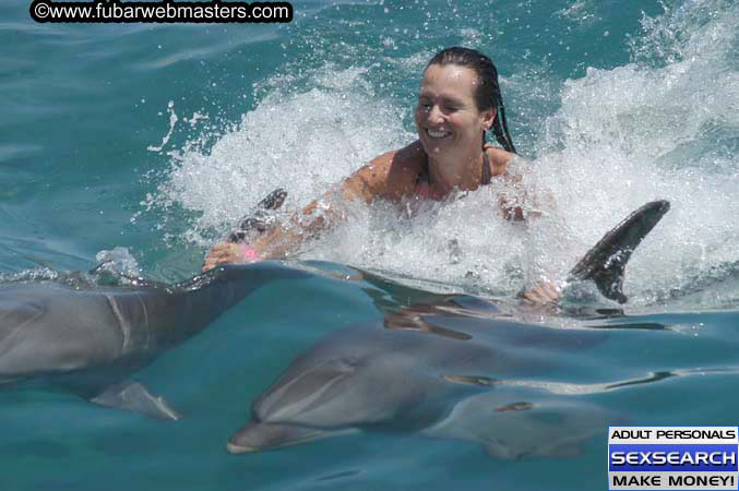 Local Billing Dolphin Encounter and Swim 2005