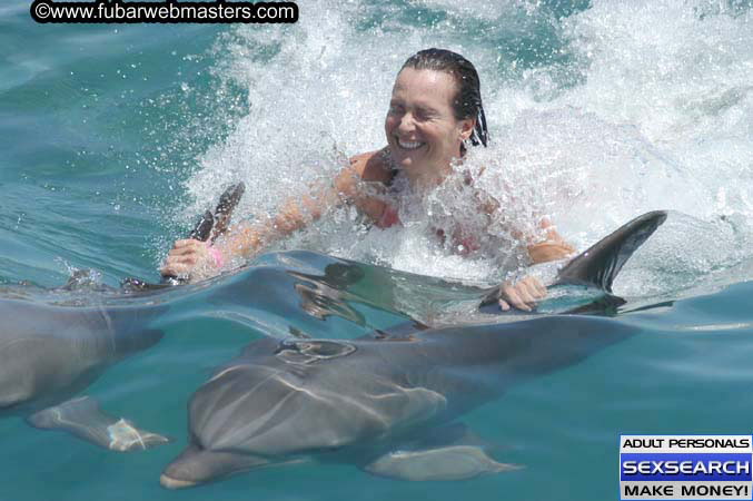 Local Billing Dolphin Encounter and Swim 2005