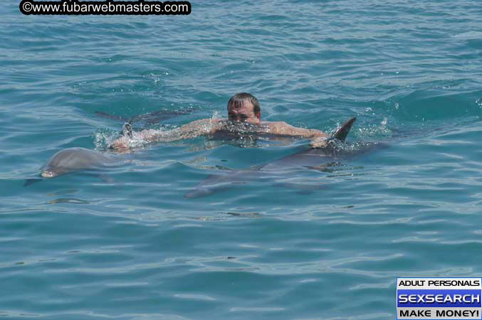 Local Billing Dolphin Encounter and Swim 2005