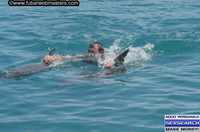 Local Billing Dolphin Encounter and Swim 2005