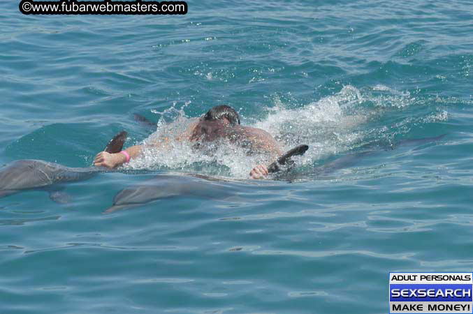 Local Billing Dolphin Encounter and Swim 2005