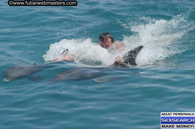 Local Billing Dolphin Encounter and Swim 2005