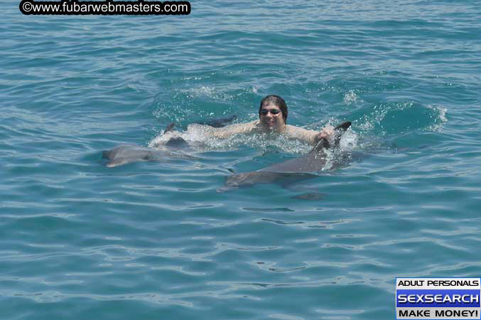 Local Billing Dolphin Encounter and Swim 2005