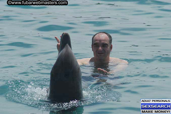 Local Billing Dolphin Encounter and Swim 2005