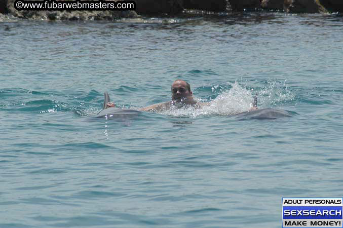 Local Billing Dolphin Encounter and Swim 2005