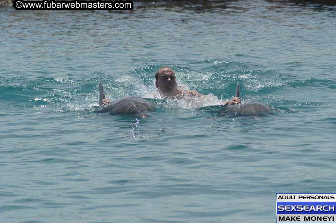 Local Billing Dolphin Encounter and Swim 2005