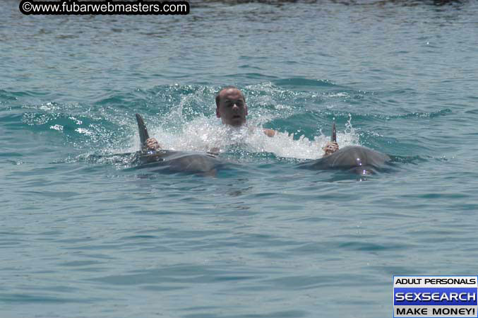 Local Billing Dolphin Encounter and Swim 2005