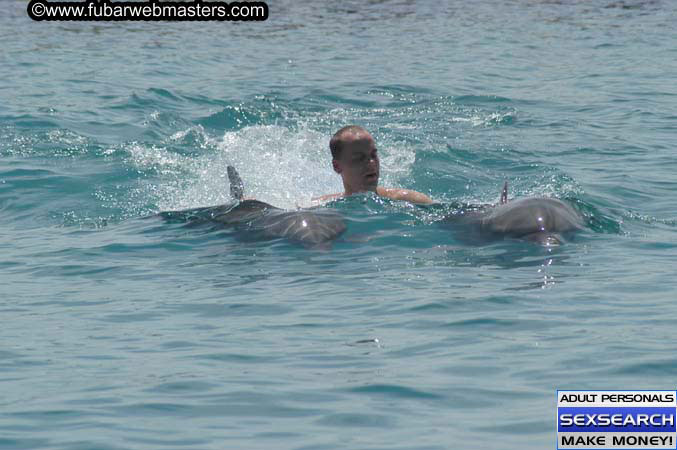 Local Billing Dolphin Encounter and Swim 2005