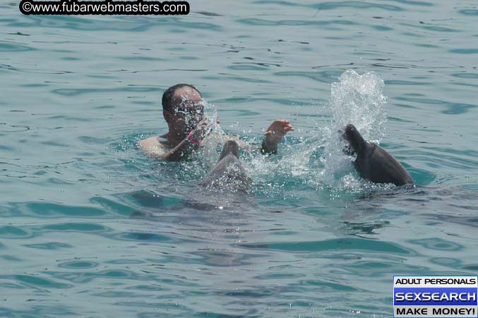 Local Billing Dolphin Encounter and Swim 2005