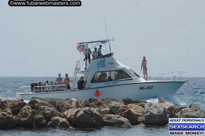 Local Billing Dolphin Encounter and Swim 2005