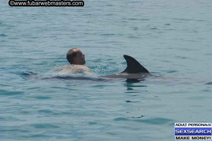 Local Billing Dolphin Encounter and Swim 2005