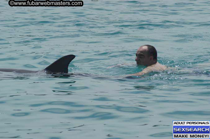 Local Billing Dolphin Encounter and Swim 2005