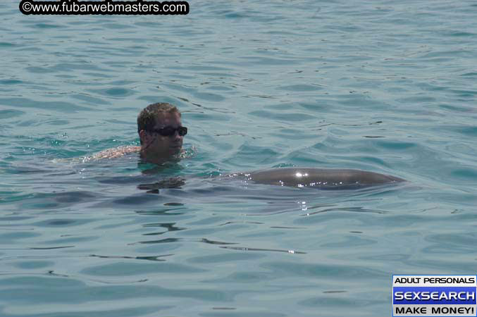 Local Billing Dolphin Encounter and Swim 2005