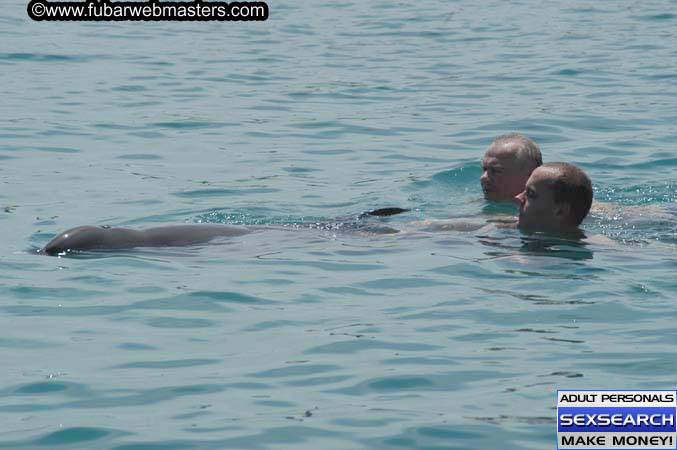 Local Billing Dolphin Encounter and Swim 2005