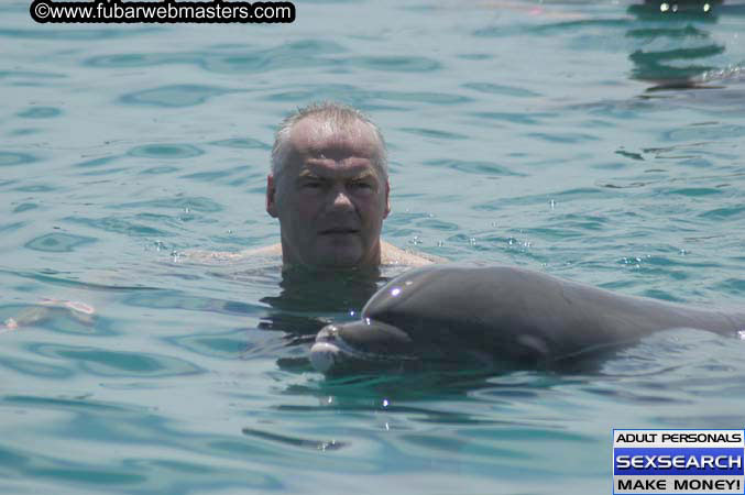 Local Billing Dolphin Encounter and Swim 2005