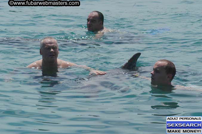 Local Billing Dolphin Encounter and Swim 2005