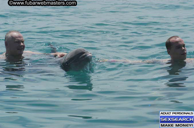 Local Billing Dolphin Encounter and Swim 2005