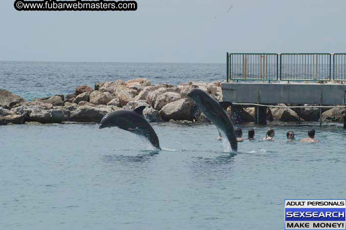 Local Billing Dolphin Encounter and Swim 2005