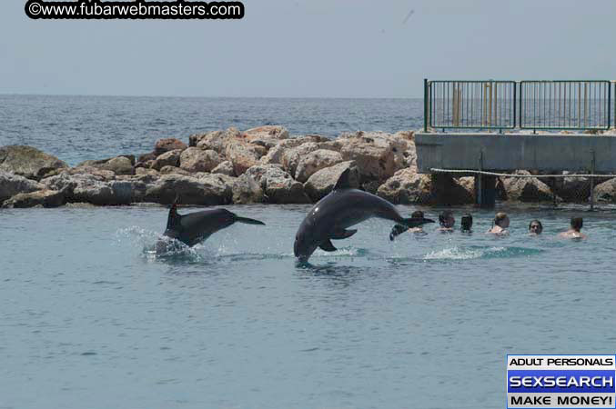 Local Billing Dolphin Encounter and Swim 2005