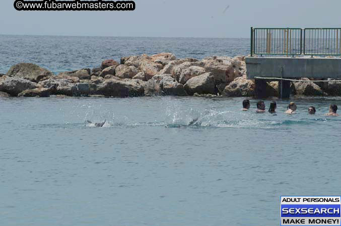 Local Billing Dolphin Encounter and Swim 2005