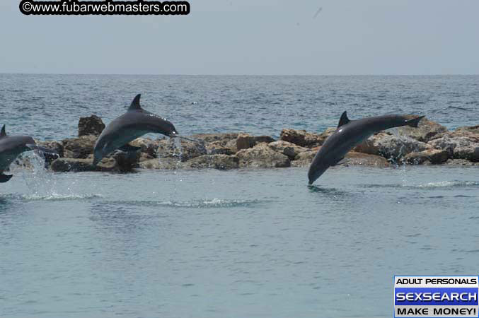 Local Billing Dolphin Encounter and Swim 2005