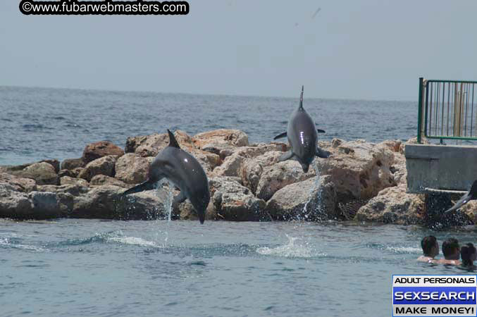 Local Billing Dolphin Encounter and Swim 2005