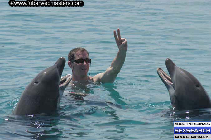 Local Billing Dolphin Encounter and Swim 2005