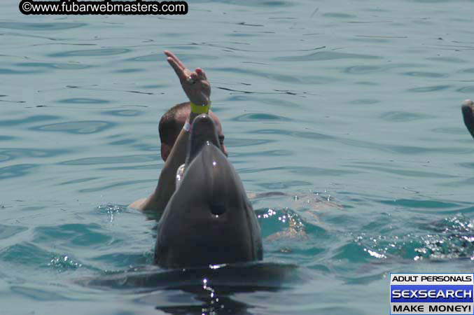 Local Billing Dolphin Encounter and Swim 2005