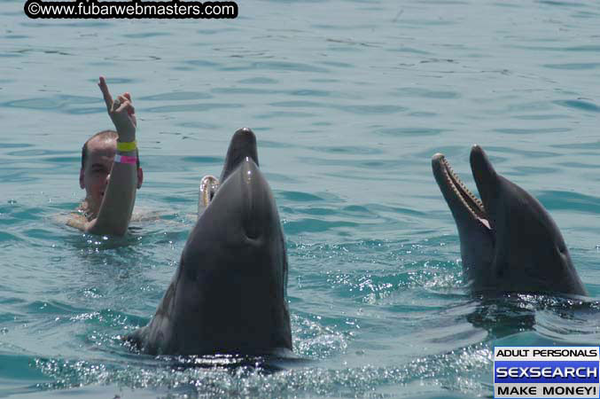 Local Billing Dolphin Encounter and Swim 2005