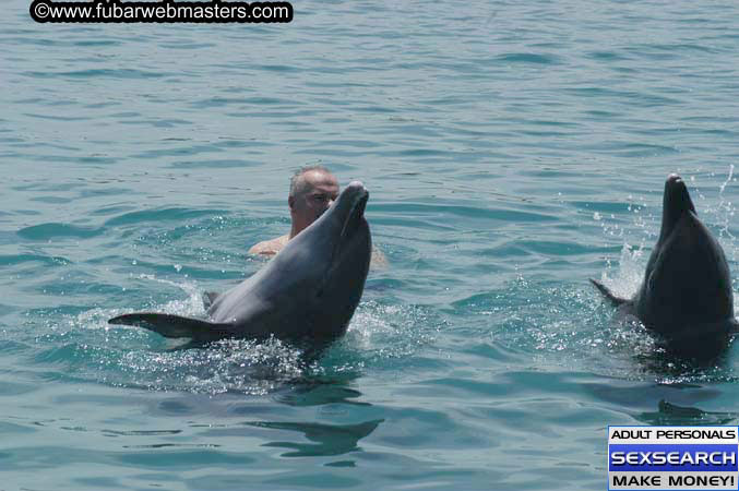 Local Billing Dolphin Encounter and Swim 2005