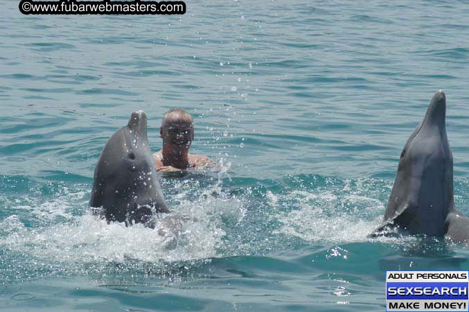 Local Billing Dolphin Encounter and Swim 2005