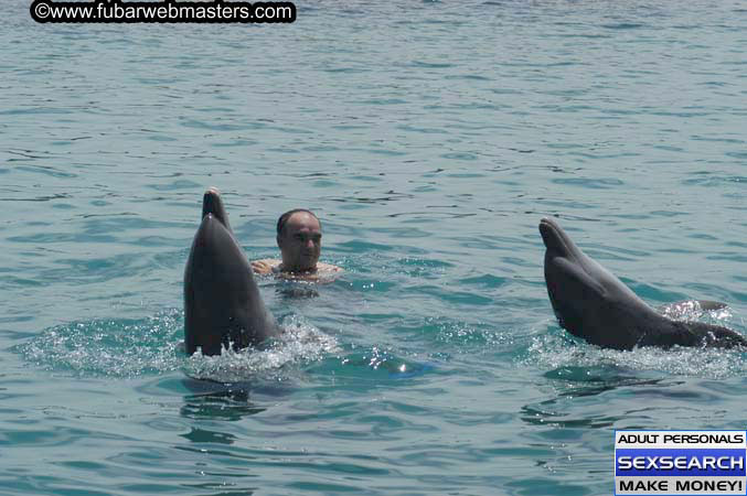 Local Billing Dolphin Encounter and Swim 2005