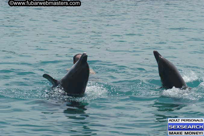 Local Billing Dolphin Encounter and Swim 2005