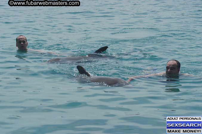 Local Billing Dolphin Encounter and Swim 2005