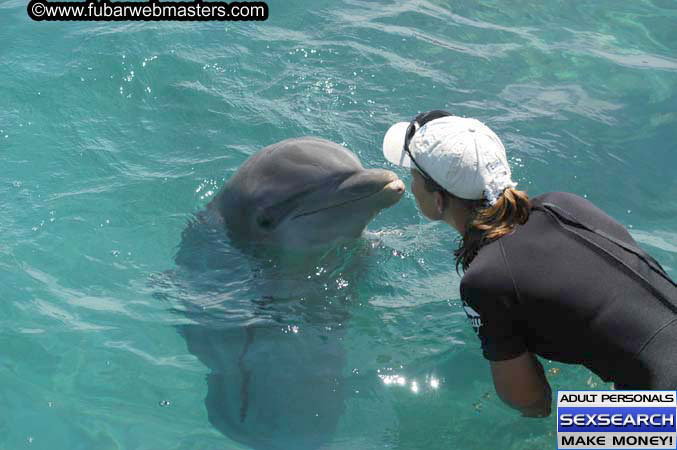 Local Billing Dolphin Encounter and Swim 2005