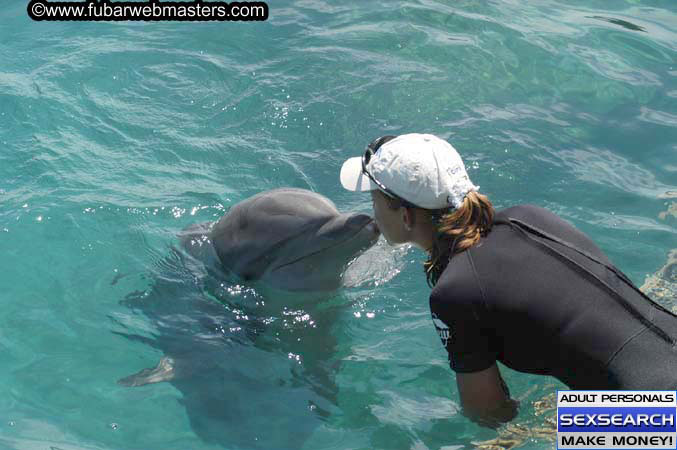 Local Billing Dolphin Encounter and Swim 2005