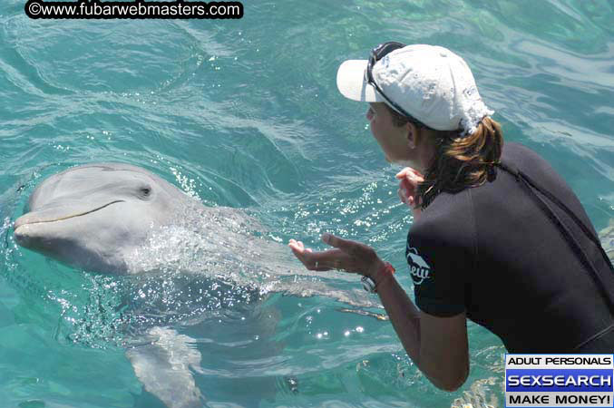 Local Billing Dolphin Encounter and Swim 2005