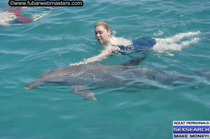 Local Billing Dolphin Encounter and Swim 2005