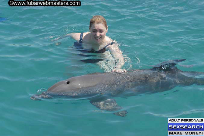 Local Billing Dolphin Encounter and Swim 2005